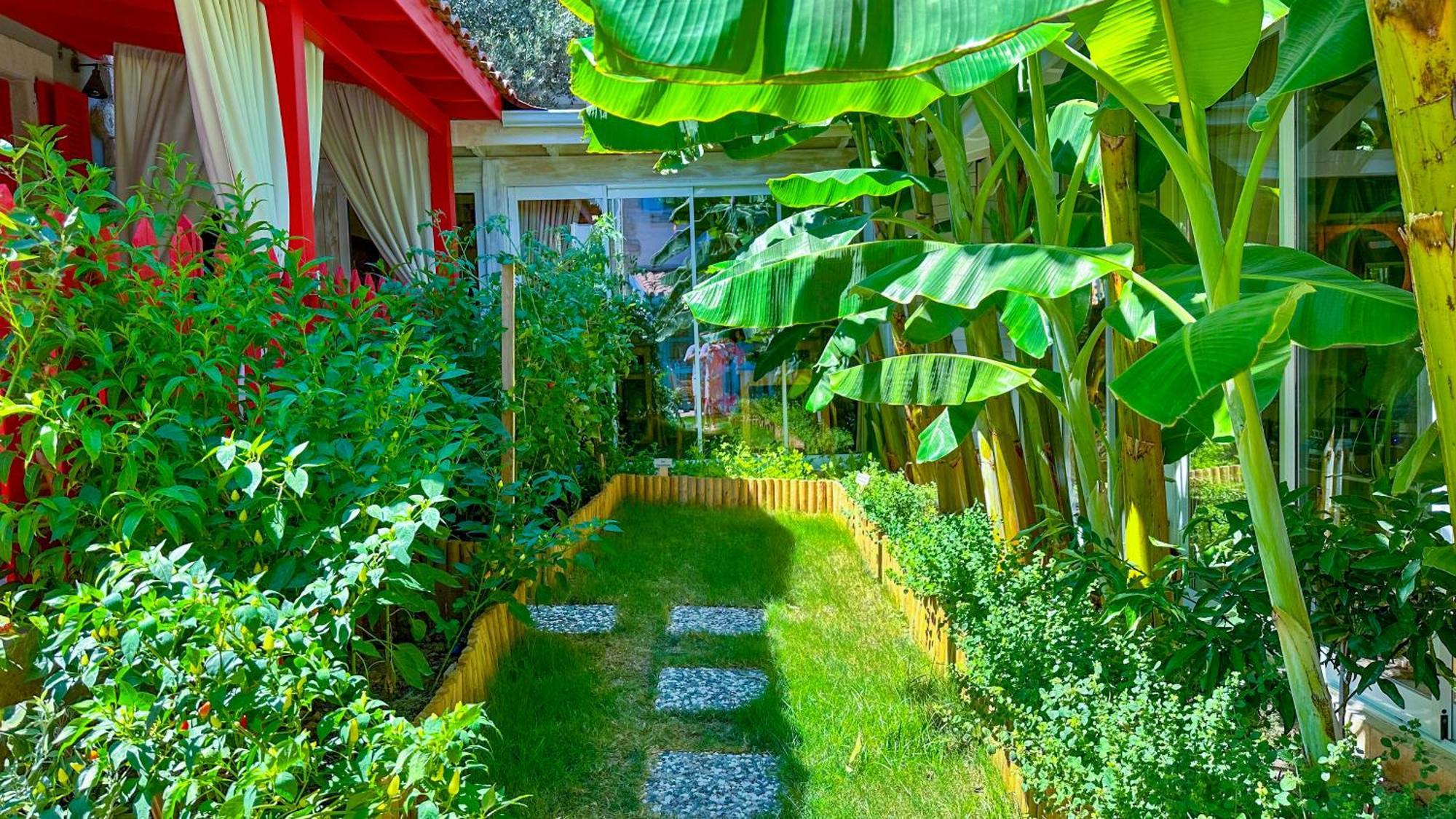 Alacati Wellness Garden المظهر الخارجي الصورة